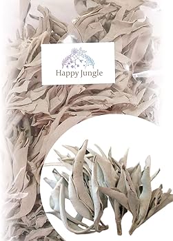 激安価格☆無農薬ホワイトセージ枝付きクラスター1kg業務用価額お香浄化ＡＡＡ 激安価格☆無農薬ホワイトセージ枝付きクラスター1kg業務用お香浄化